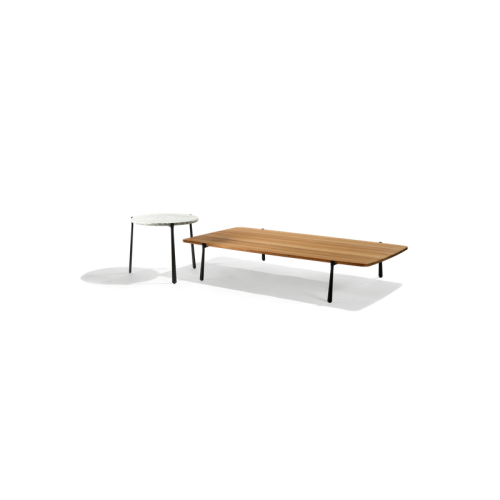 BRANCH low table